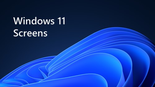 Windows 11 Screens Banner