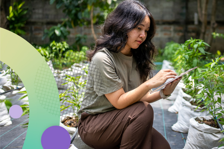 A person holding a tablet kneeling next to a row of plants