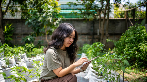 A person works on a tablet beside a row of young plants