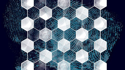 Hexagonal pattern over a fingerprint