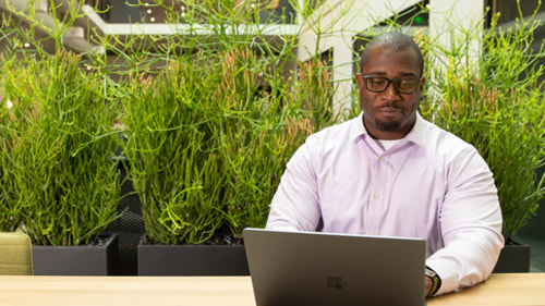 Person works on laptop with clean verdant background